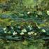 Monet Water Lilies