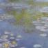 Monet Water-Lilies