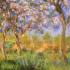 Giverny in Springtime